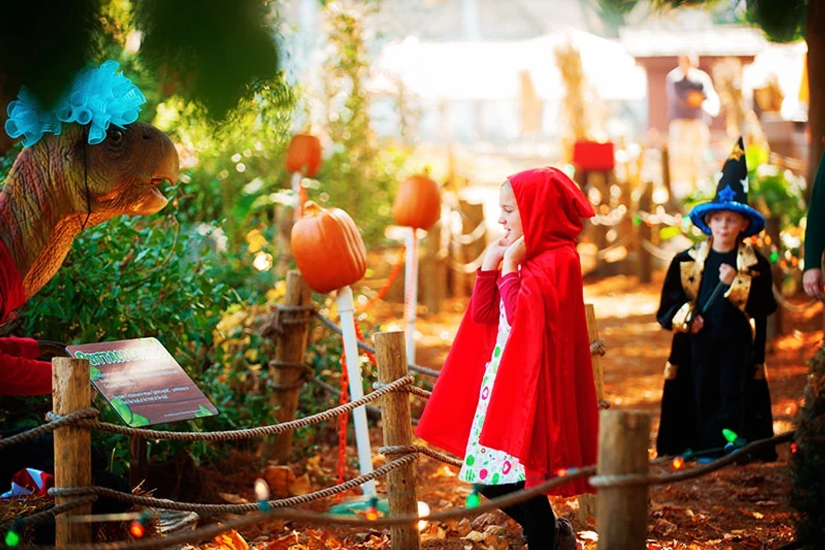DWO26_AEM_Blogs_Halloween_Happy_Hauntings
